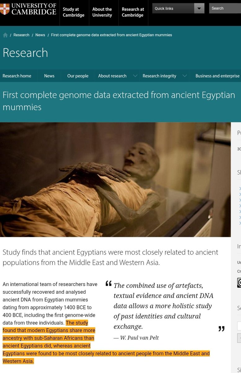 Oreo ☩ tweet media