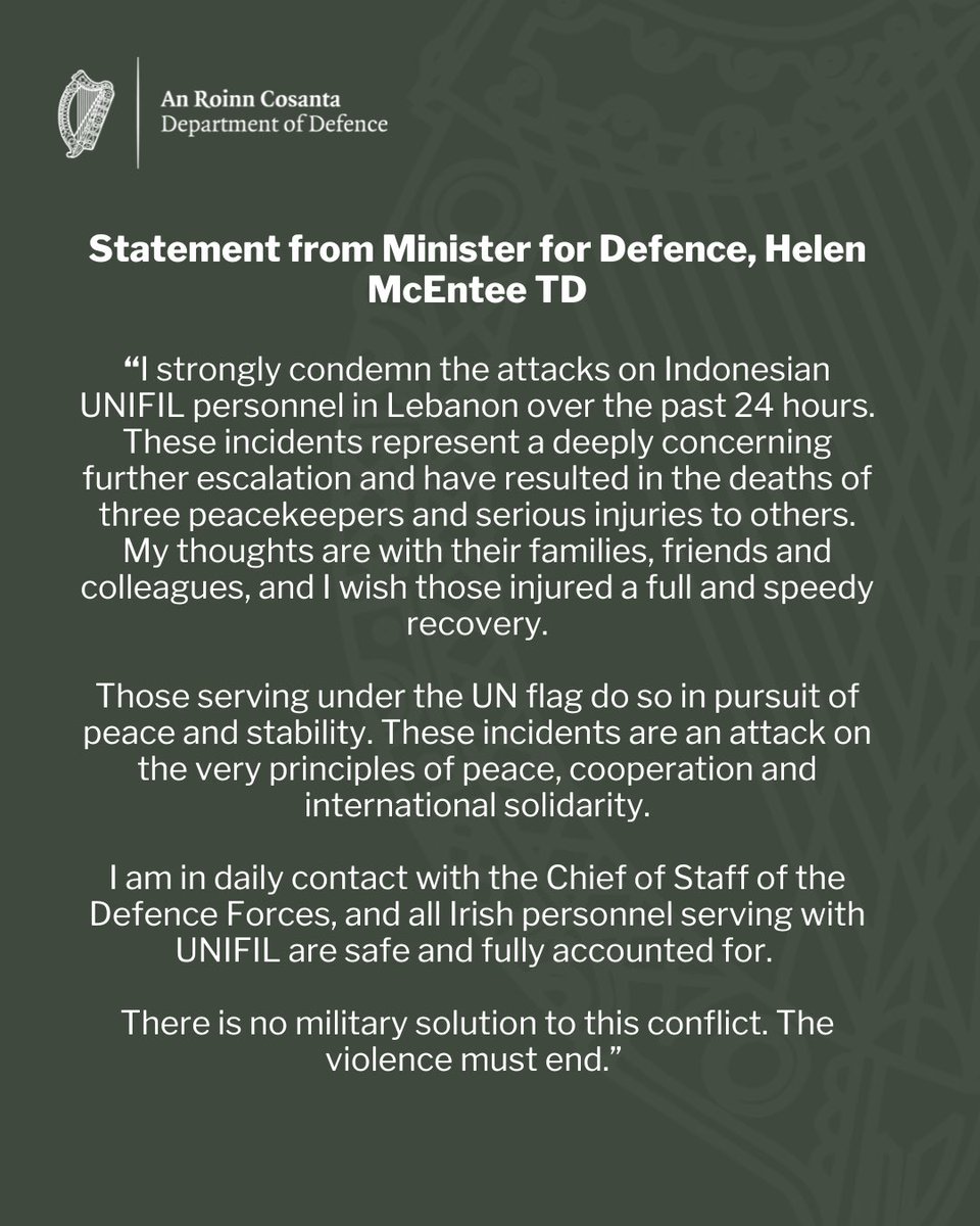 Helen McEntee TD tweet media