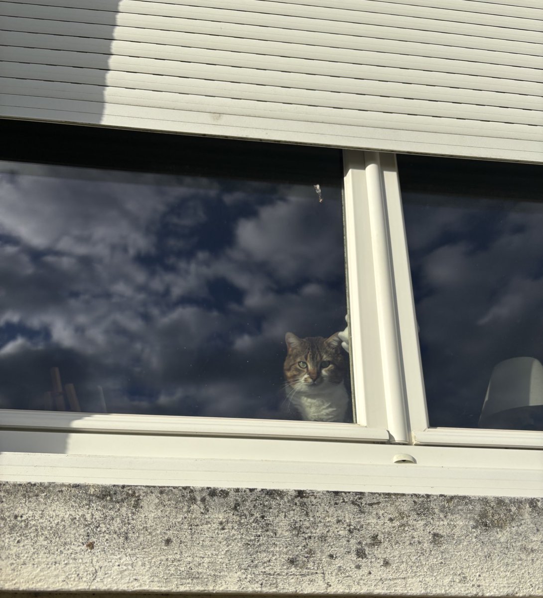 karo ⟡ tweet media