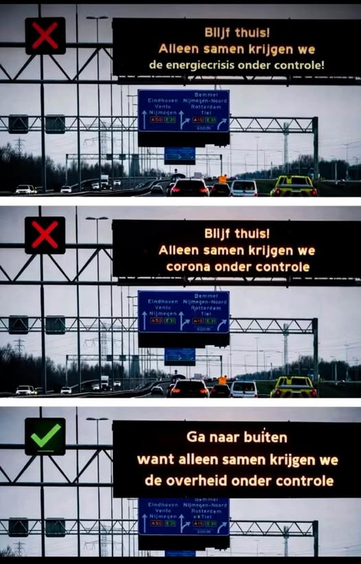 Dolly van den Berg tweet media