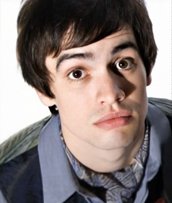 bandom as animals tweet media