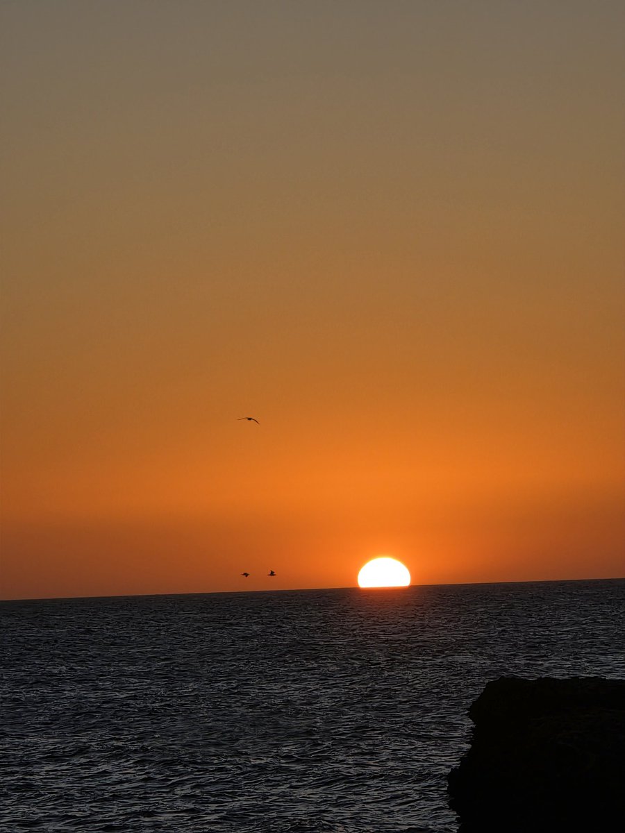 Seulvqman 🕊️ tweet media
