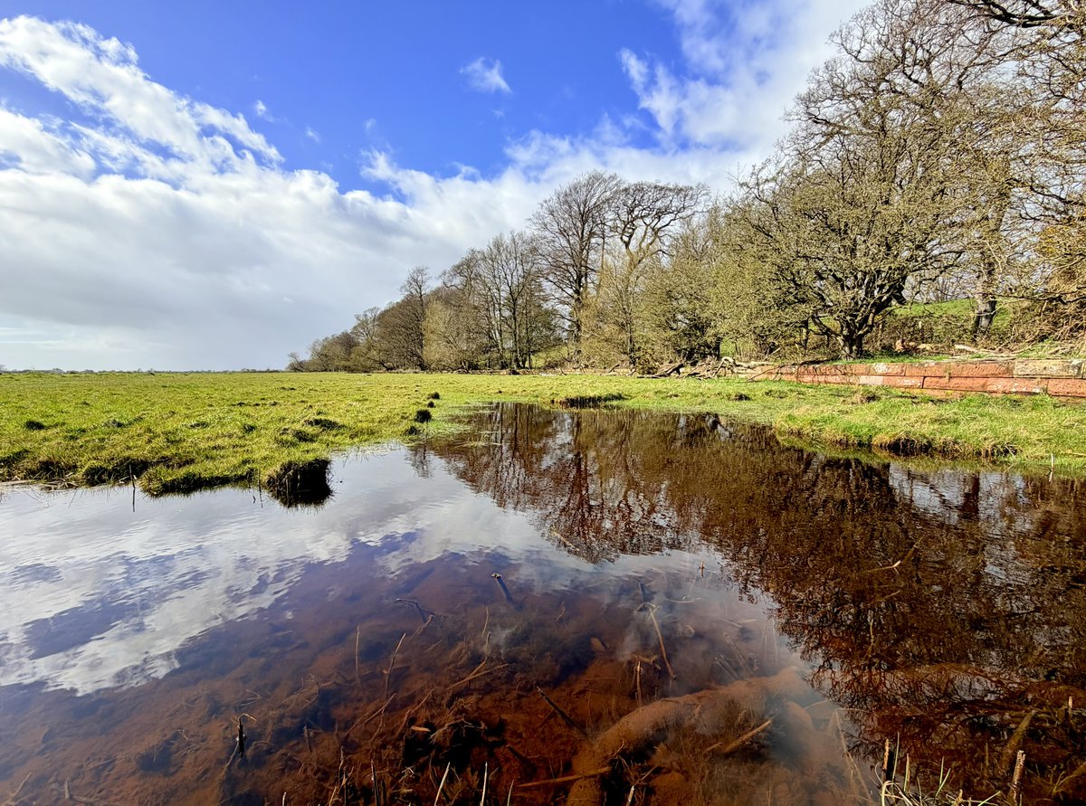 liam_lovell's tweet image. Rockcliffe with some sunshine this afternoon, not as many showers as yesterday and still with that cool breeze 🌤️🌸

#cumbria #loveukweather #spring #nature