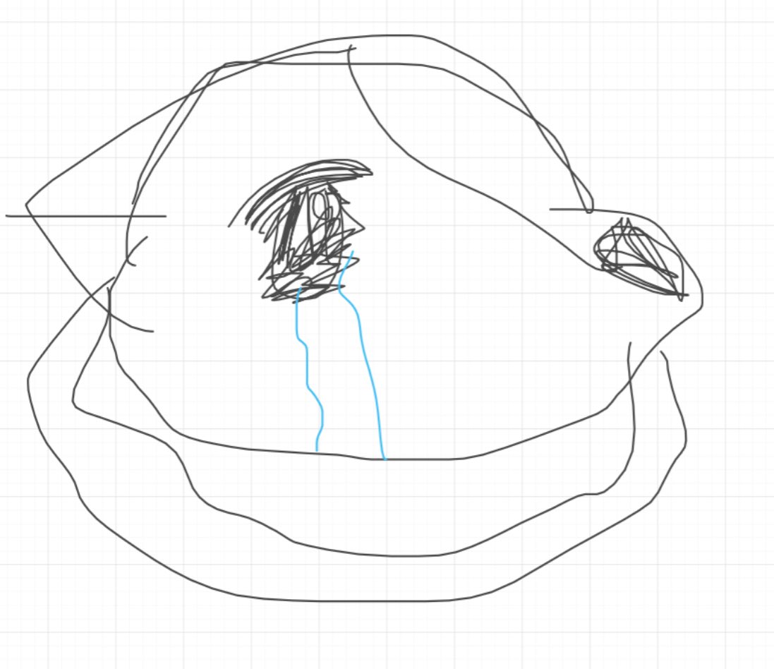 Idk why but i drew one of my sonas Winston with these types of eyes idk why tho lmao