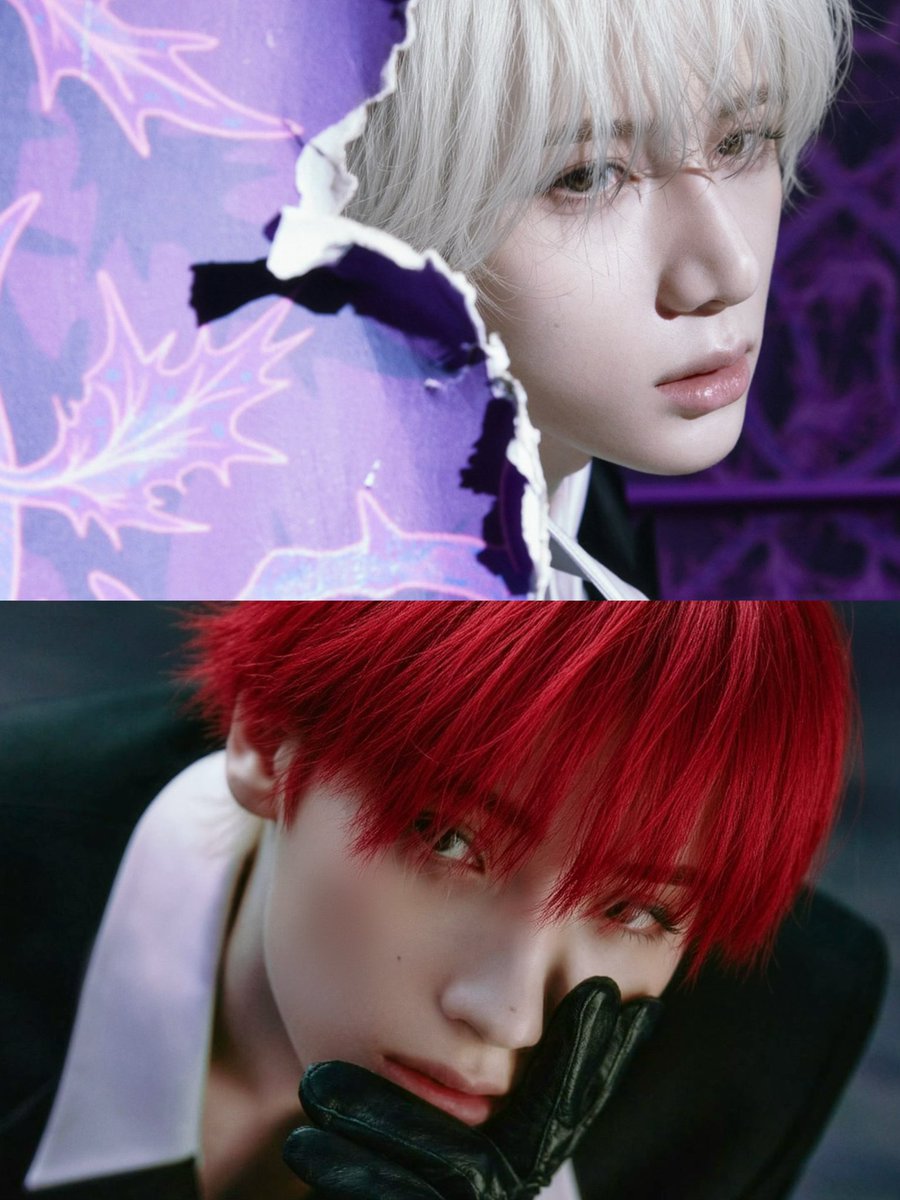 모에모에규 tweet media