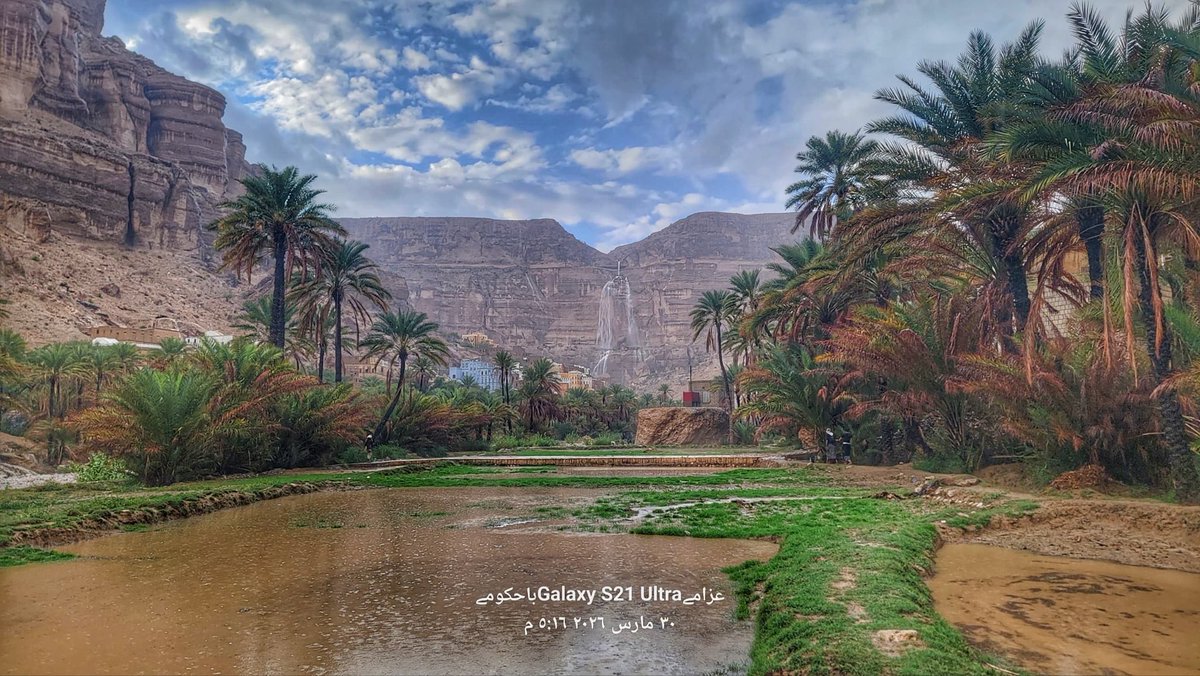 Salem Alnahdi tweet media