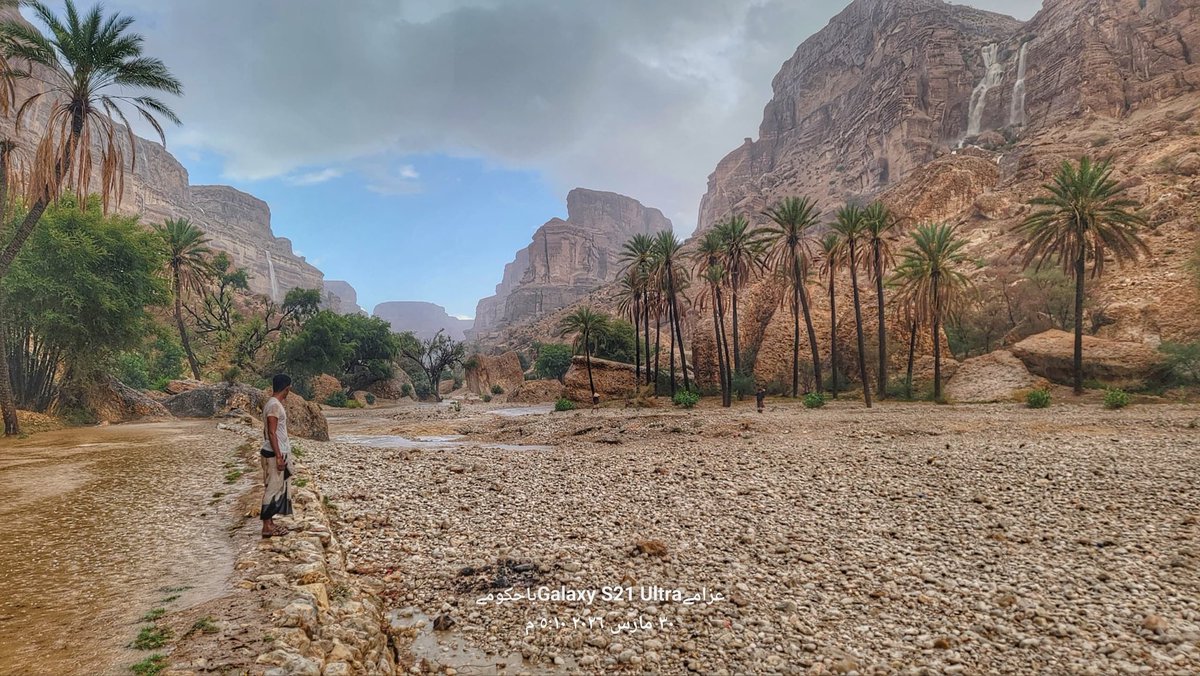 Salem Alnahdi tweet media