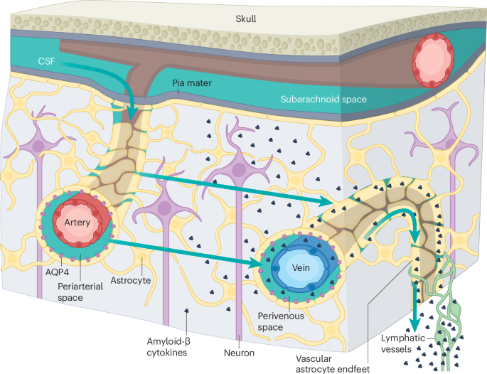 Nat Rev Neurology tweet media