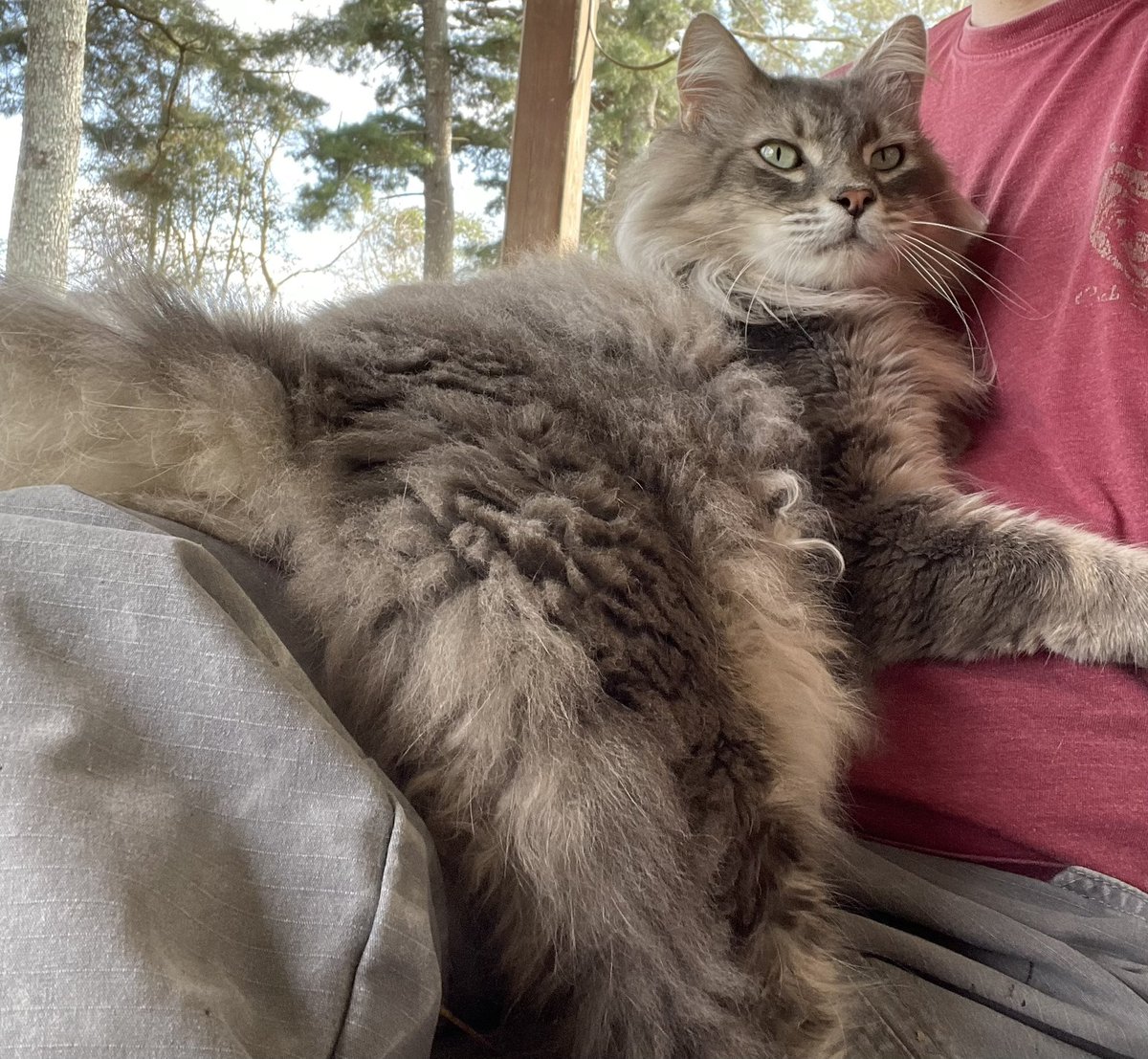 Danny🇺🇸 tweet media