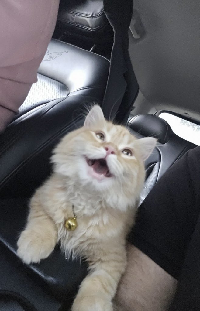 Antidepressant Content tweet media