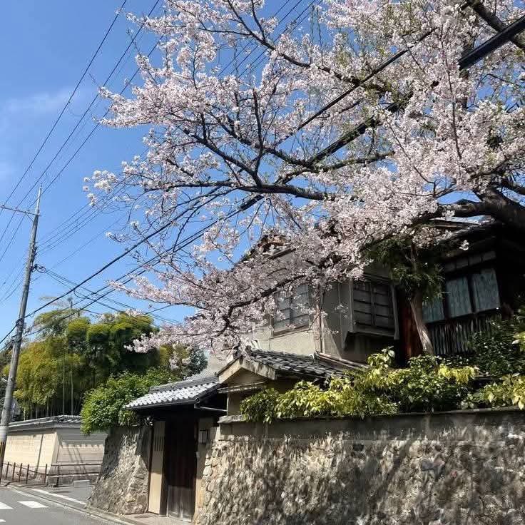 City explorer tweet media