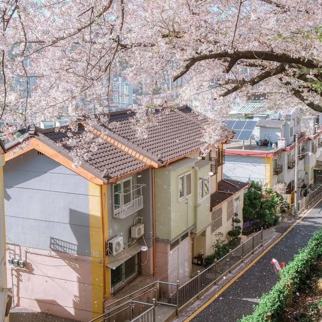 City explorer tweet media