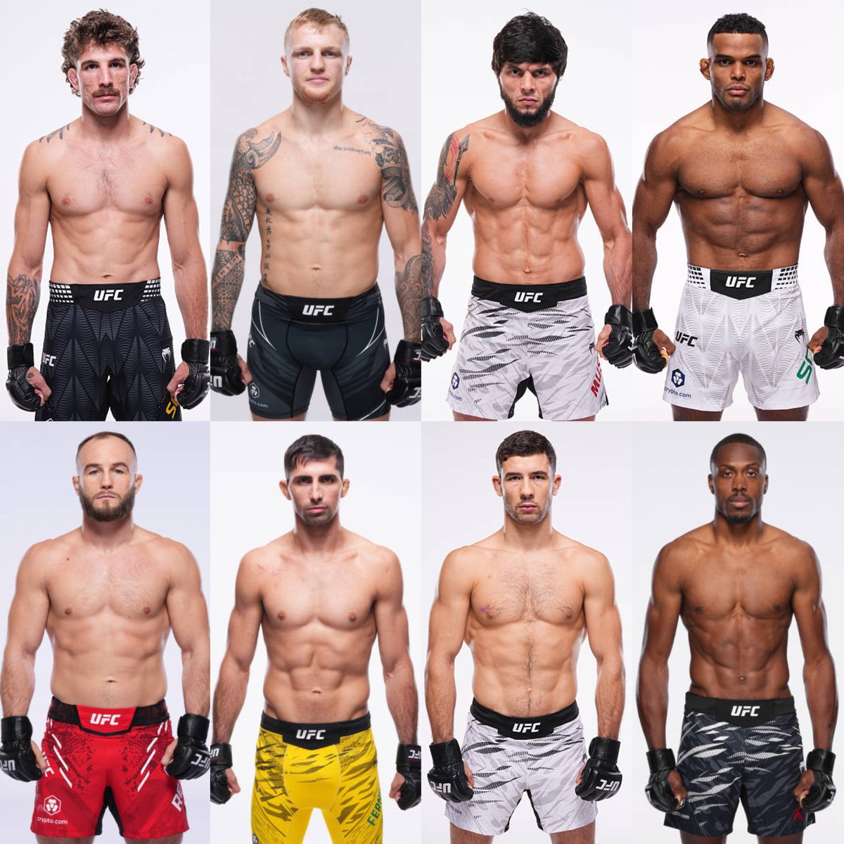 𝐦𝐚𝐧𝐧𝐲 𝐟𝐞𝐫𝐧𝐚𝐧𝐝𝐞𝐬 tweet media