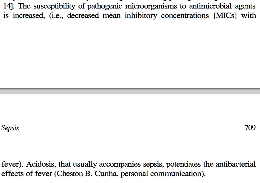 Shungo Y tweet media