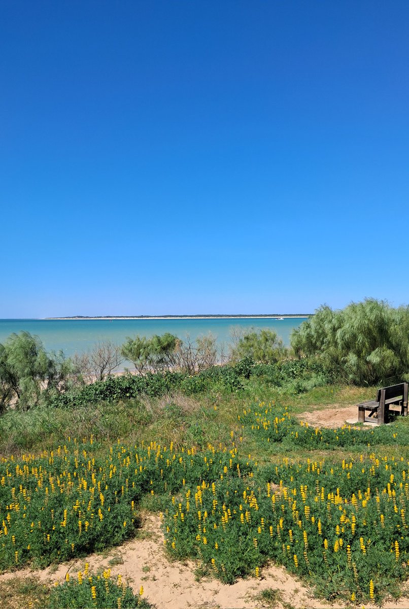 Gonzalo Núñez tweet media