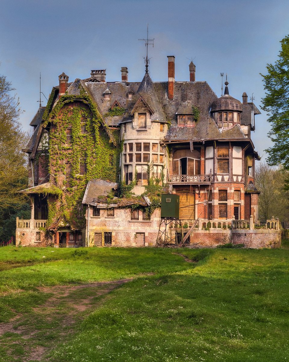 𝐒𝐭𝐞𝐚𝐦𝐩𝐮𝐧𝐤 𝐓𝐞𝐧𝐝𝐞𝐧𝐜𝐢𝐞𝐬 tweet media