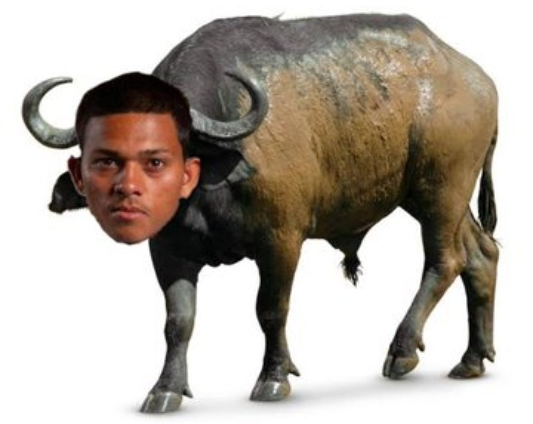 Gmaxi 👑 tweet media