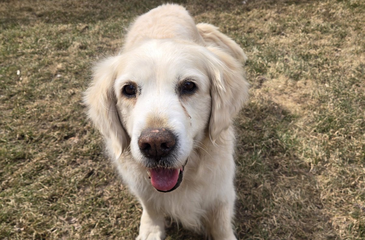 Courtney, Gracie & Patrick 🇨🇦🍁⚾️🌸🌱 tweet media