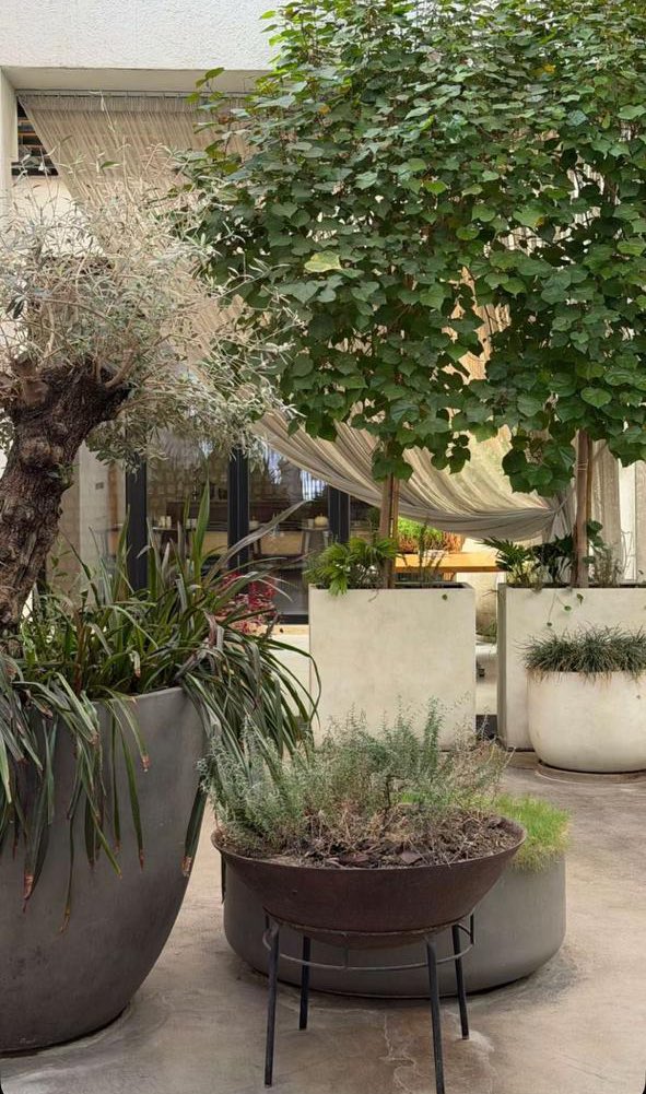 أم الخير♡ tweet media