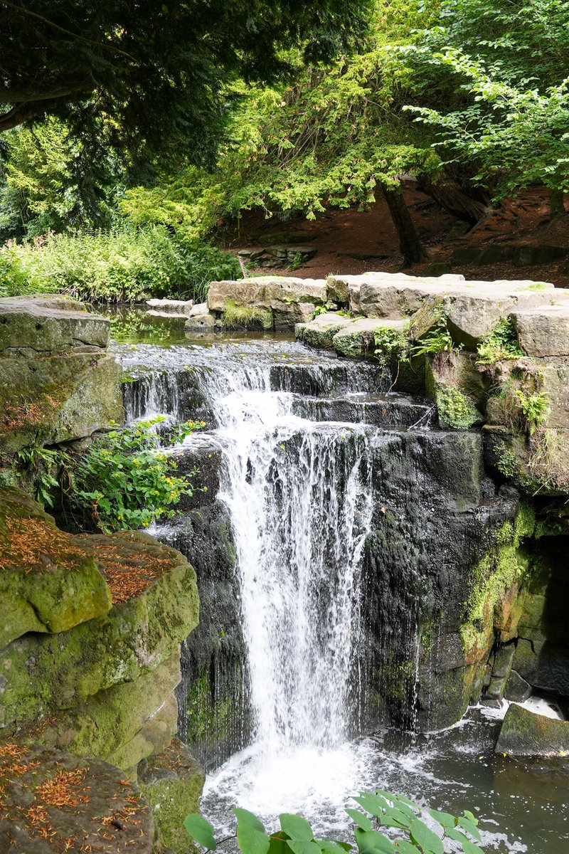 Mansons Property Consultants tweet media