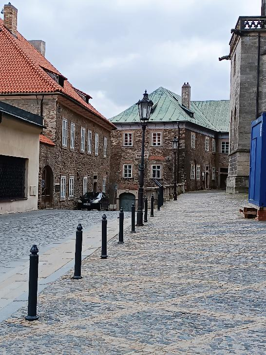 Lucienne tweet media