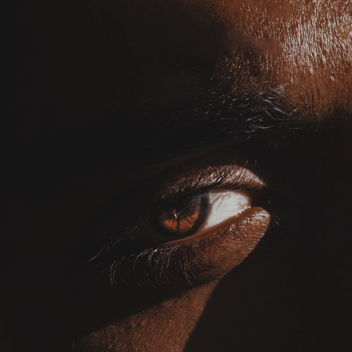 ‍ ‍ 𝑎𝑑𝑟𝑖𝑒𝑛. tweet media