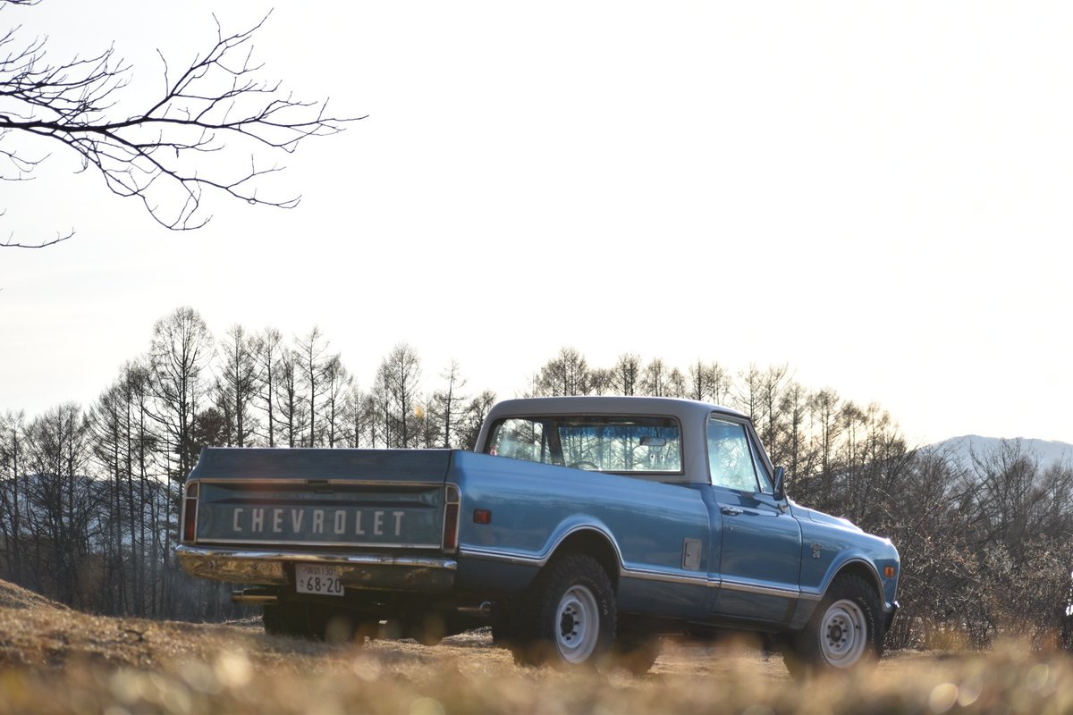 マスコットイノーバ tweet media