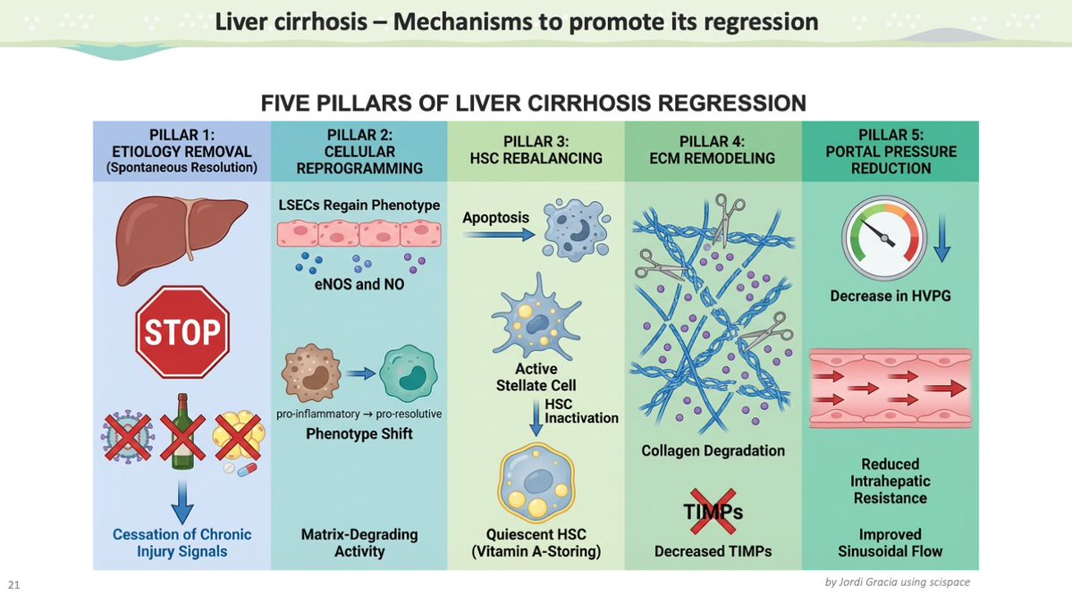 Jordi Gracia-Sancho tweet media