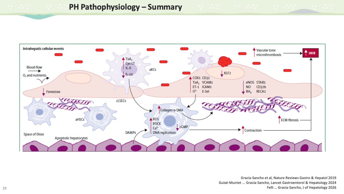 Jordi Gracia-Sancho tweet media