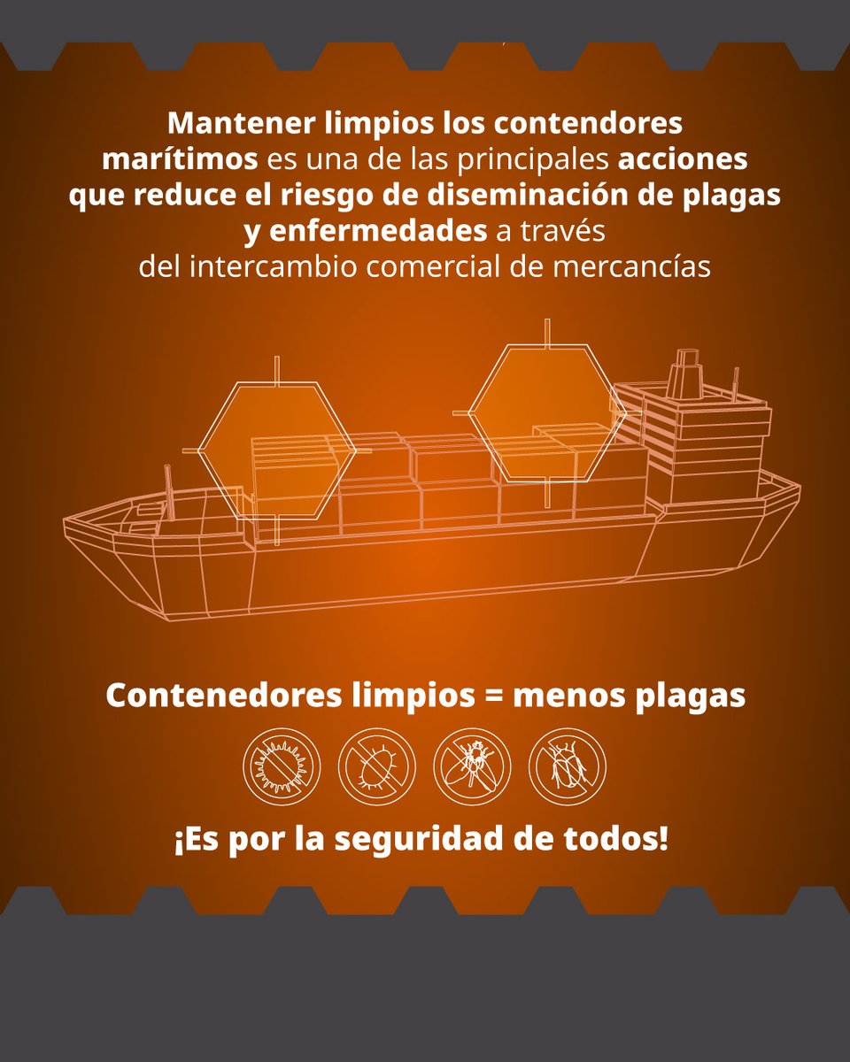 SENASICA's tweet image. Al mantener los contenedores limpios y en
buen estado, protegemos al sector agropecuario de
plagas y enfermedades que pueden afectarlo. 🚛

Mantener limpio tu contenedor dice mucho de la
calidad de tus productos comerciales. 🧼🧽

#Contenedores #Limpieza #SenasicaActua