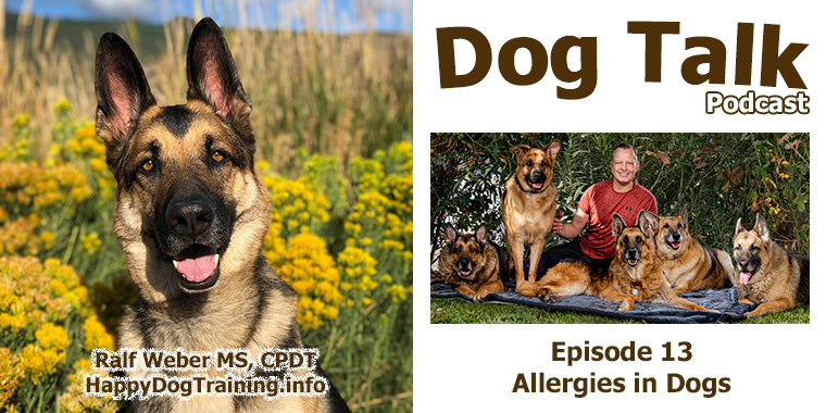 DogTrainerSoCal's tweet photo. In this episode, I discuss how we handle allergies with our personal dogs. 

https://t.co/2MCiUcNa0S

#Podcast #Dogs #DogsOfTwitter #DogTraining #TWC #HappyDogTraining https://t.co/ihI6gI9Amb