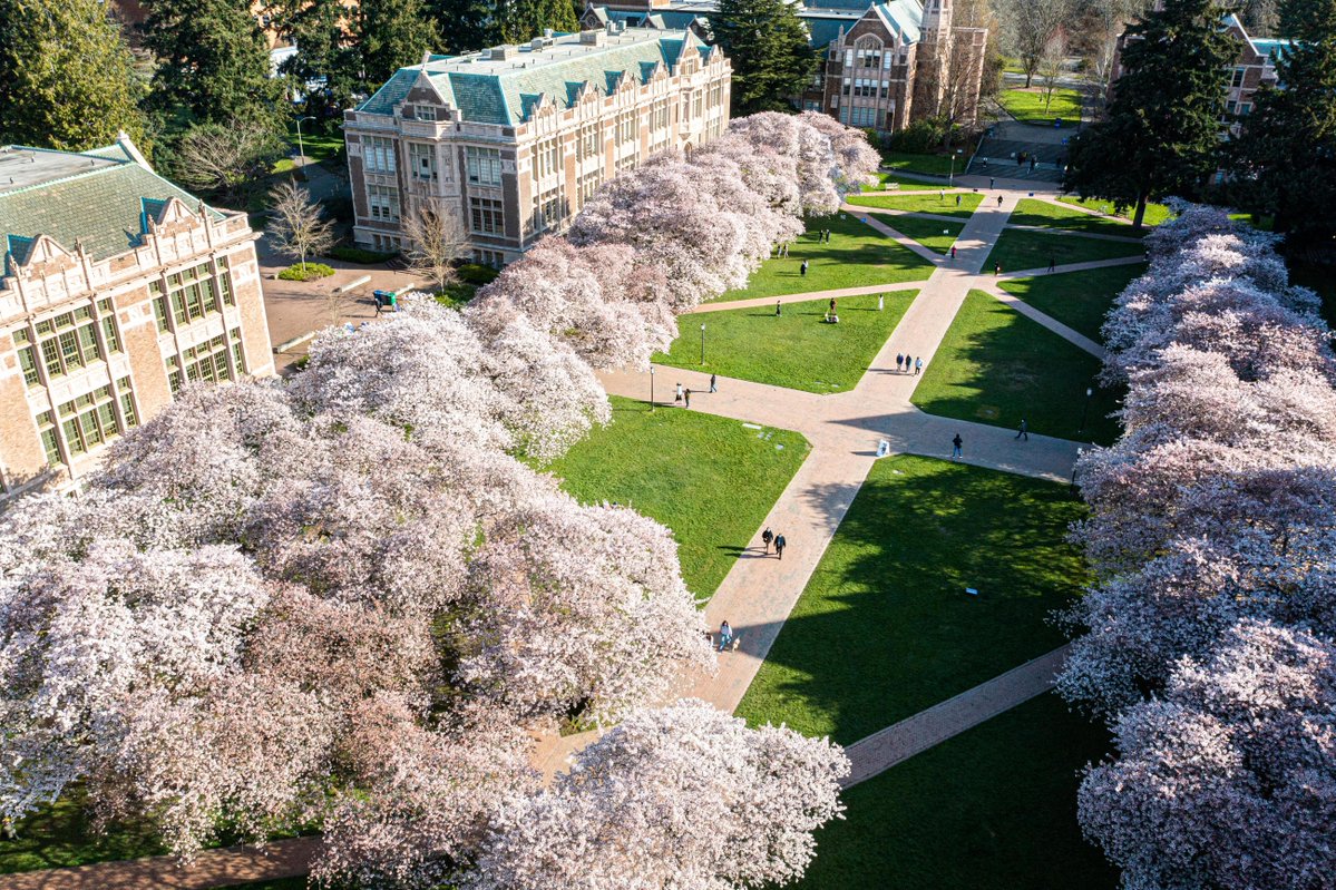 University of Washington tweet media