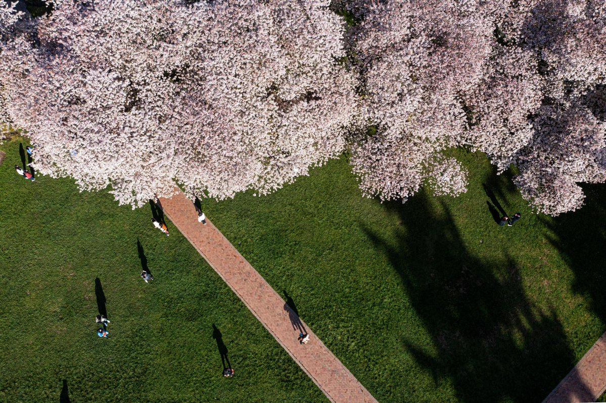 University of Washington tweet media