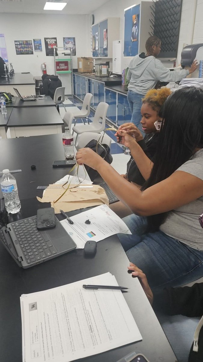 PhoebusHS1's tweet photo. Students in Mrs. Hulick’s Environmental Science class collected data on native grasses to assess their health before replanting. and learning how ecosystems function and how human decisions can support environmental restoration. @david_coccoli @VAeducatorLBI @VickyHulick https://t.co/wIEKSCp8V4