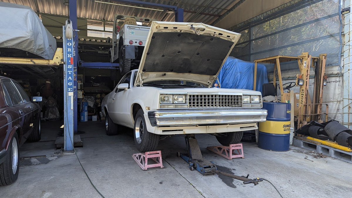 Ph.D. ♠NoMuR(XXV-100) tweet media