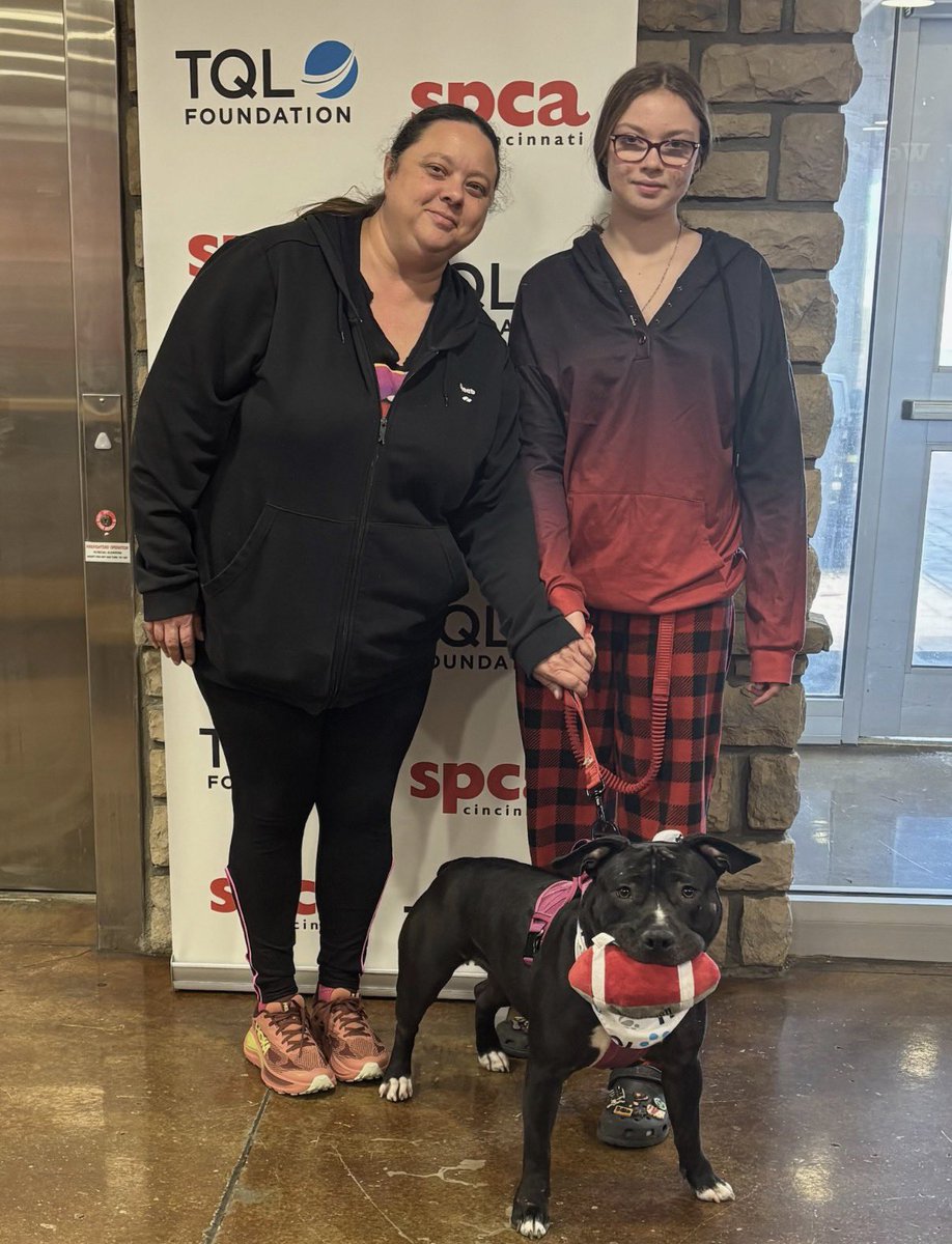 SPCA Cincinnati tweet media