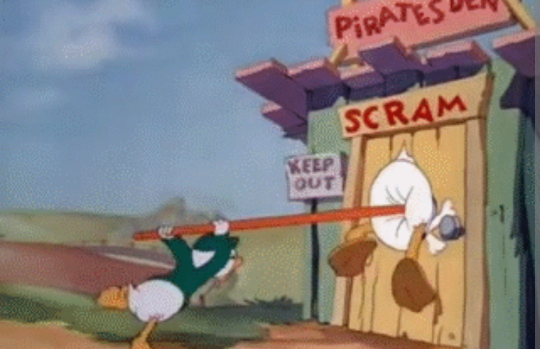 FerchoFacho tweet media