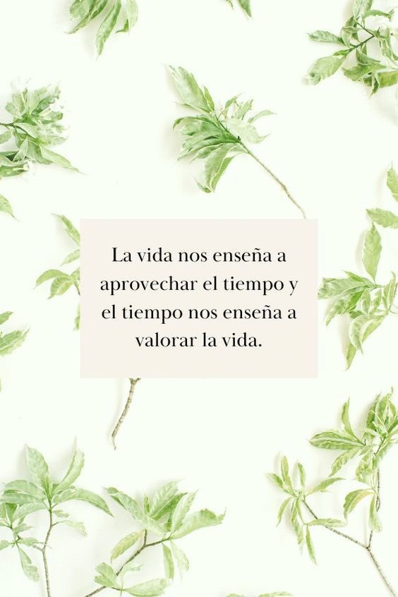 Wendy Perez Salinas tweet media