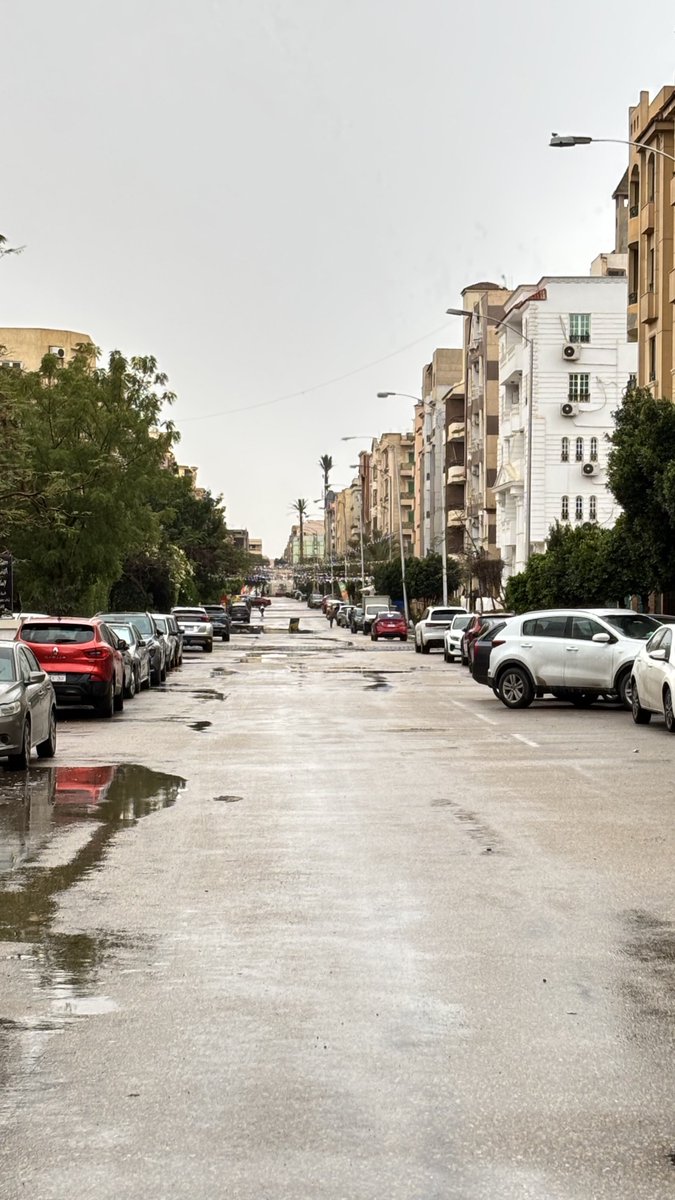 مجّد. tweet media