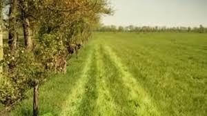 Pieter Postma tweet media