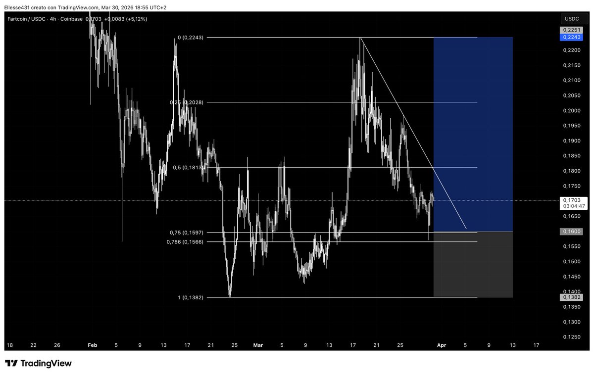 Leo 🦁 tweet media