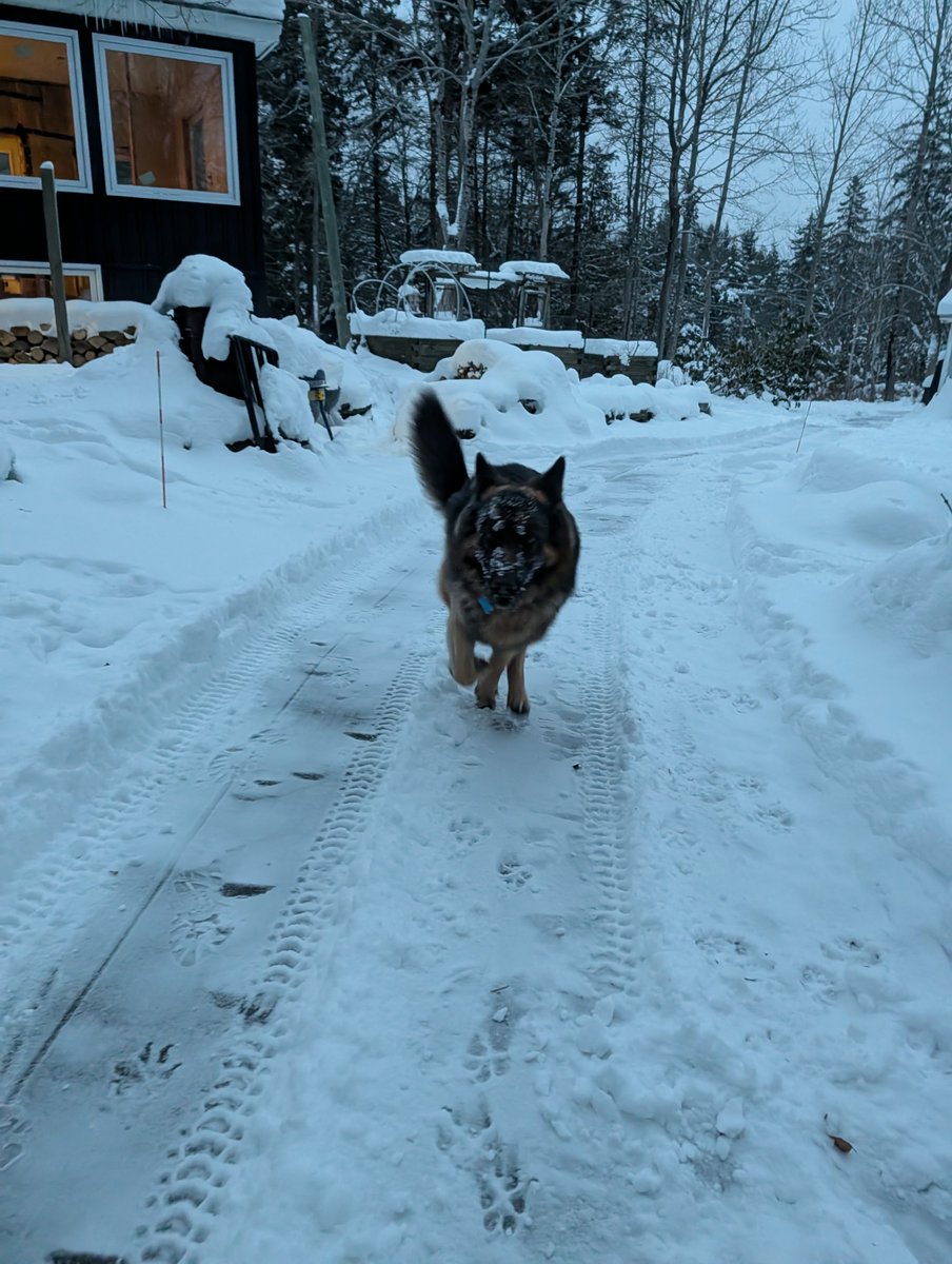 Frederick von Rönge tweet media