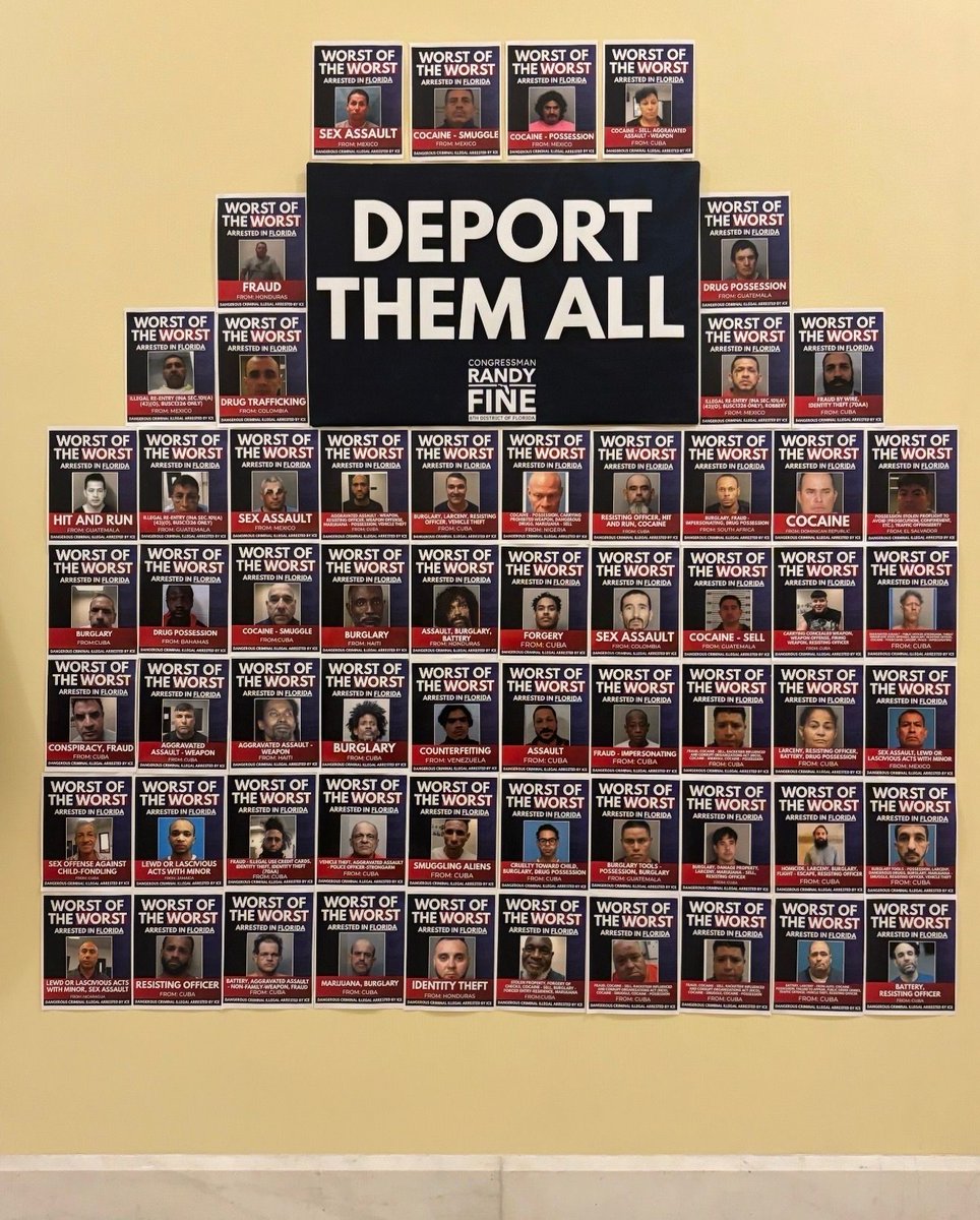 Congressman Randy Fine tweet media