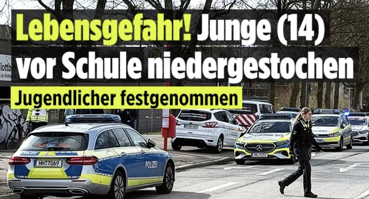 🇩🇪LilitThyra🩶 tweet media