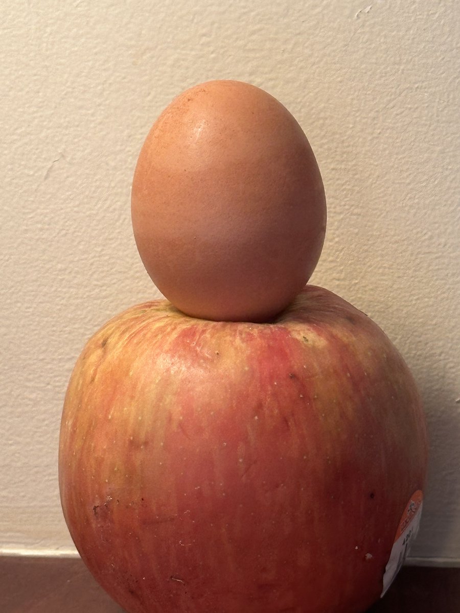 T.C. Boyle tweet media