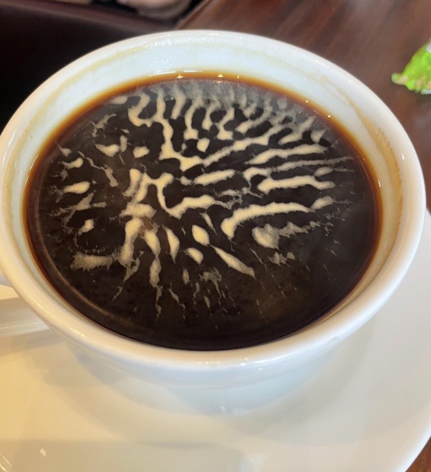 A girl tweeting her W's tweet media