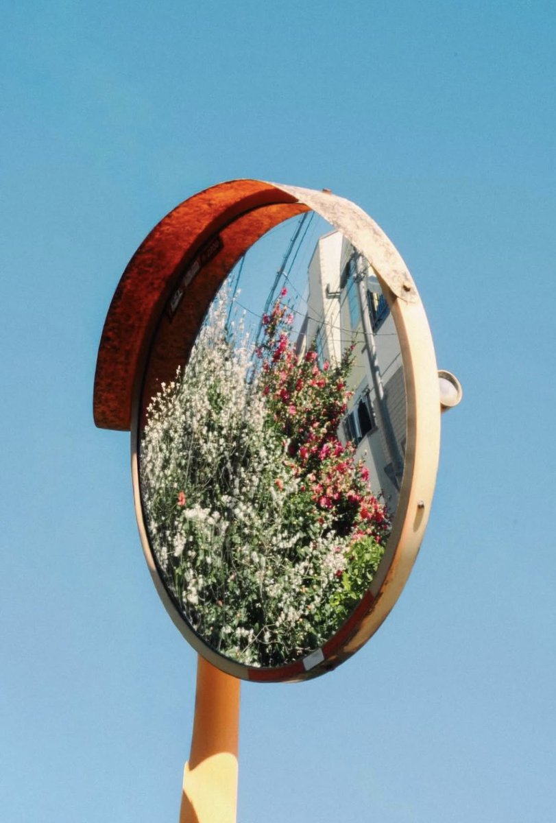 Itsuki Haru tweet media