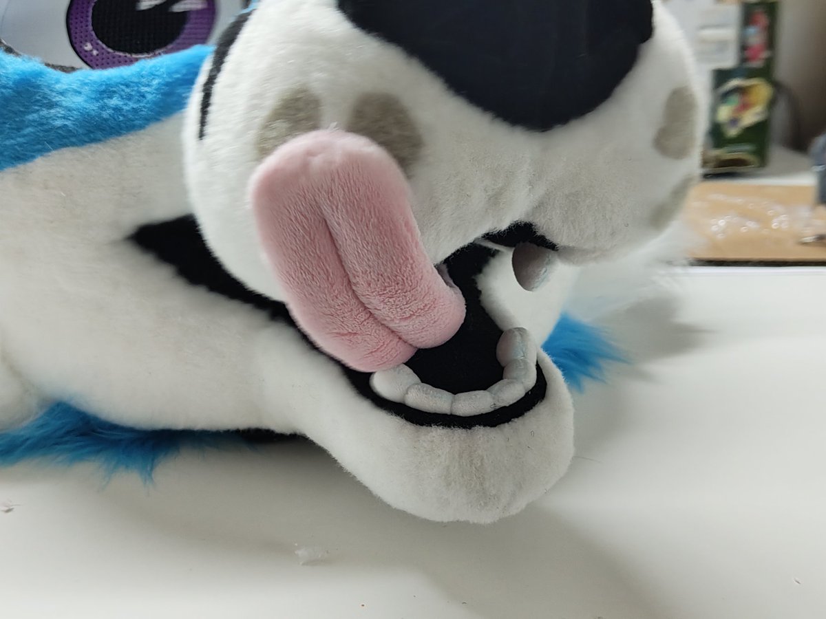 Shrumibo 🌿🍄 tweet media