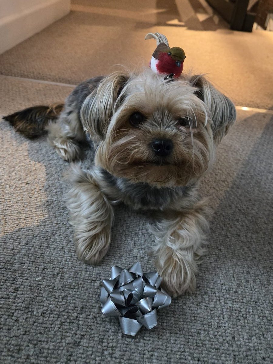 BritainDecoded tweet media