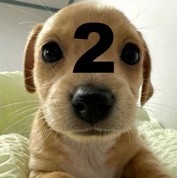 Bone her tweet media